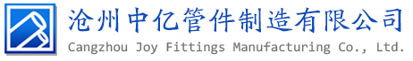 沧州中亿网站标.jpg